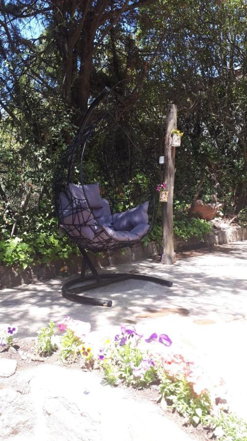 Cucu Haus Hostel لا كومبريسيتا المظهر الخارجي الصورة